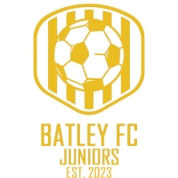 Batley FC (Juniors)